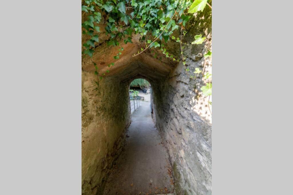 Maison Troglodytique Doue La Fontaine Exteriör bild